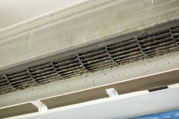 Best Affordable Duct Cleaning Services  in Upper Montclair, NJ